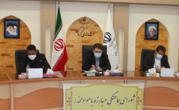 استفاده از ظرفیت سازمان های مردم نهاد با هدف اجرای برنامه های پیشگیرانه برای زنان