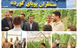 مقابله با کشت گیاهان ممنوعه با نظارت مستمر و برخورد قاطع دنبال می&zwnj;شود