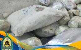 دستگیری ۴ نفر و کشف ۴۵ کیلوگرم تریاک در شیراز
