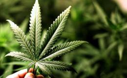 جمع&zwnj;آوری ۲۳۵ معتاد متجاهر در پایتخت در آخرین روزسال ۱۴۰۱