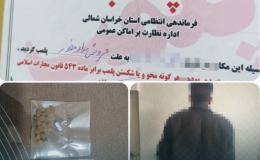 پلمب مغازه مواد فروش در شیروان