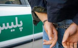دستگیری ۶۶۲ نفر در طرح ارتقای امنیت اجتماعی در استان قزوین