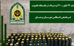 کشف ۴۲ کیلو و ۳۰۰ گرم تریاک در شهرستان بردسکن