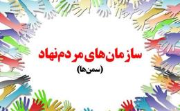 برگزاری کارگاه منطقه&zwnj;ای توانمندسازی سازمان&zwnj;های مردم&zwnj;نهاد سطح 2 و 3 به میزبانی خوزستان