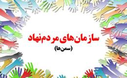 سازمان های مردم نهاد نقش عمده&zwnj;ای در کاهش مشکلات آسیب های اجتماعی دارند