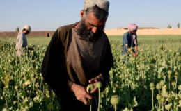 استقبال طالبان از سخنان دبیر شورای امنیت ملی روسیه درباره&nbsp;مبارزه با&nbsp;موادمخدر&nbsp;در افغانستان