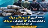 کشف بیش از 12 کیلوگرم تریاک در کوهدشت