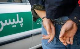 دستگیری 32 توزیع کننده مواد مخدر در طرح امنیت محله محور پلیس