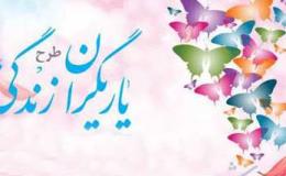طرح یاریگران زندگی در ۹ شهرستان استان اردبیل اجرا می&zwnj;شود