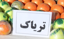 کشف ۴۷ کیلوگرم تریاک از کامیون حامل بار چوب در سرایان