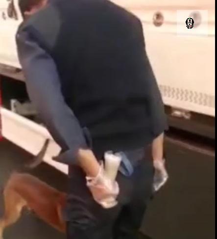ویدئو | کشف مواد مخدر توسط سگ&zwnj; موادیاب در مرز بازرگان