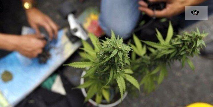 دستگیری خرده فروش "مجازی" مواد مخدر در پردیس