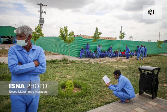 جمع&zwnj;آوری ۱۳ هزار معتاد و کارتن خواب در تهران/ اعزام ۶۵۷۰ نفر به مراکز ماده ۱۶