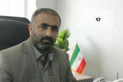 تقویت نظارت بر عطاری&zwnj;ها و کنترل کشت گیاهان مخدر در خراسان جنوبی