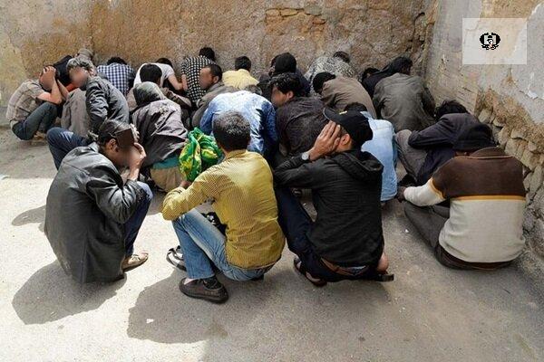 ۱۴ معتاد متجاهر در فلاورجان جمع آوری شدند