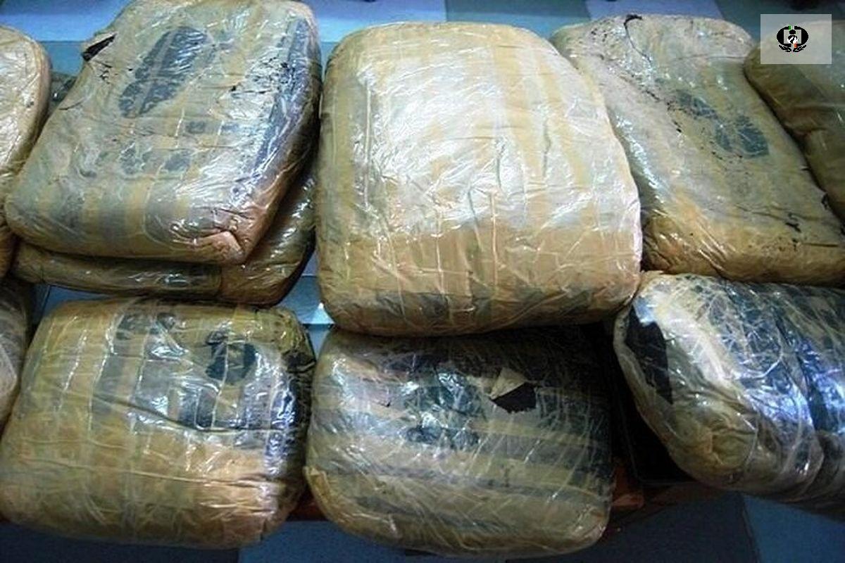 اینفوگرافیک؛ چه میزان مواد مخدر در استان همدان کشف شده است؟