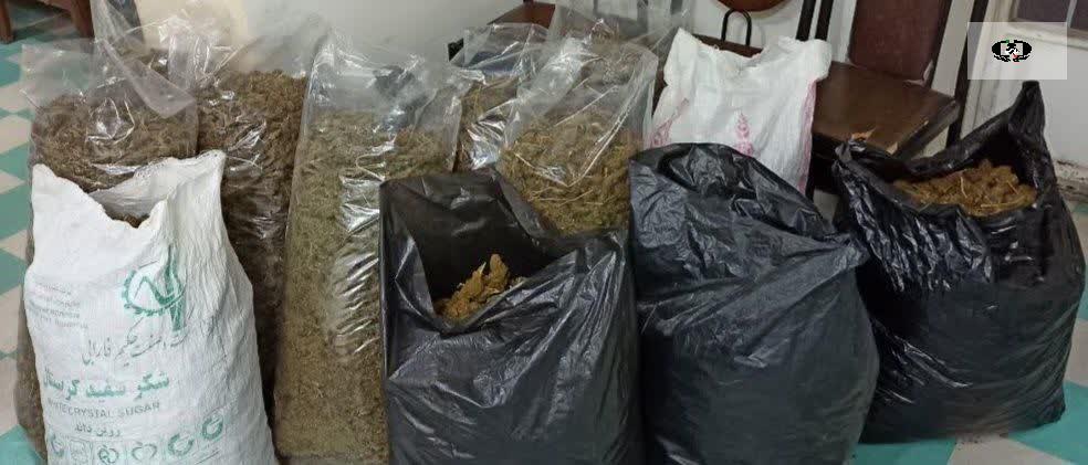 کشف 70 کیلوگرم مواد مخدر گراس (گل) توسط پلیس شوشتر