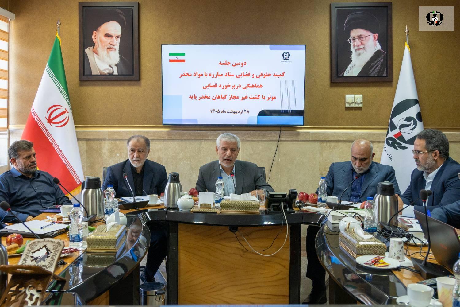 تأکید معاون قضائی دادستان کل کشور بر اصلاح و بازبینی مجازات&zwnj;ها/ ضرورت برخورد قاطع با کشت غیرمجاز گیاهان مخدرپایه