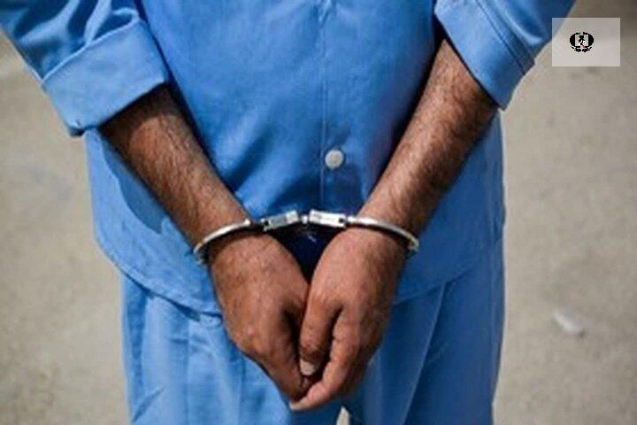 فرد حامل مواد مخدر در سمنان دستگیر شد