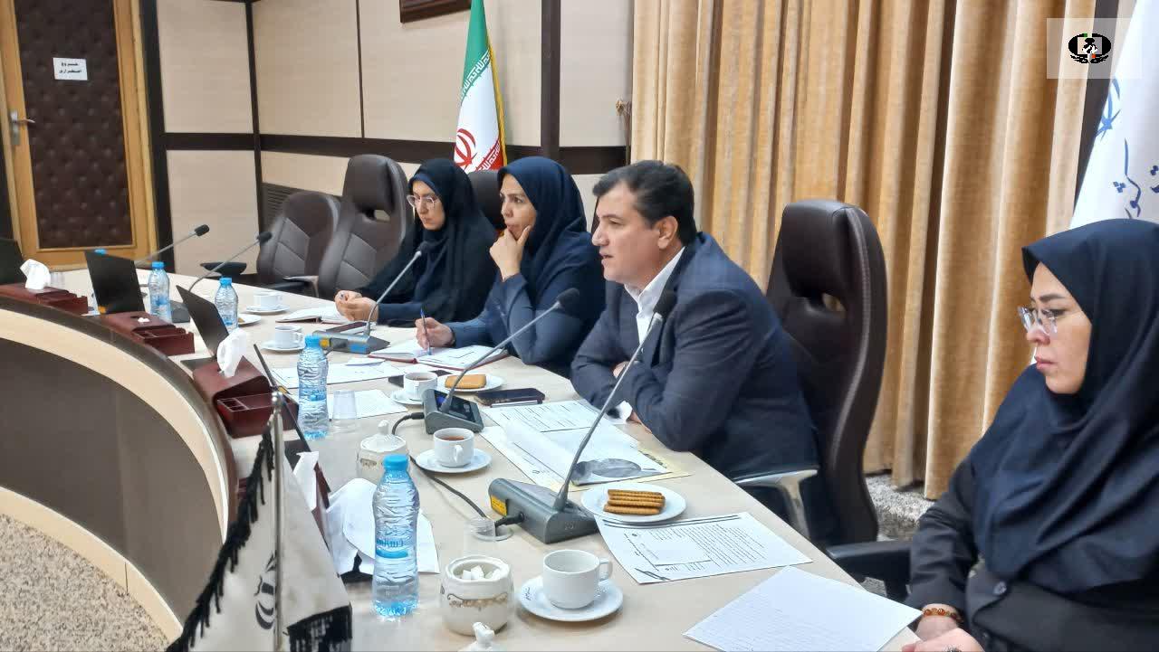 نقش مشاوران امور بانوان در کاهش آسیب&zwnj;های اجتماعی و توسعه انرژی&zwnj;های تجدیدپذیر بررسی شد