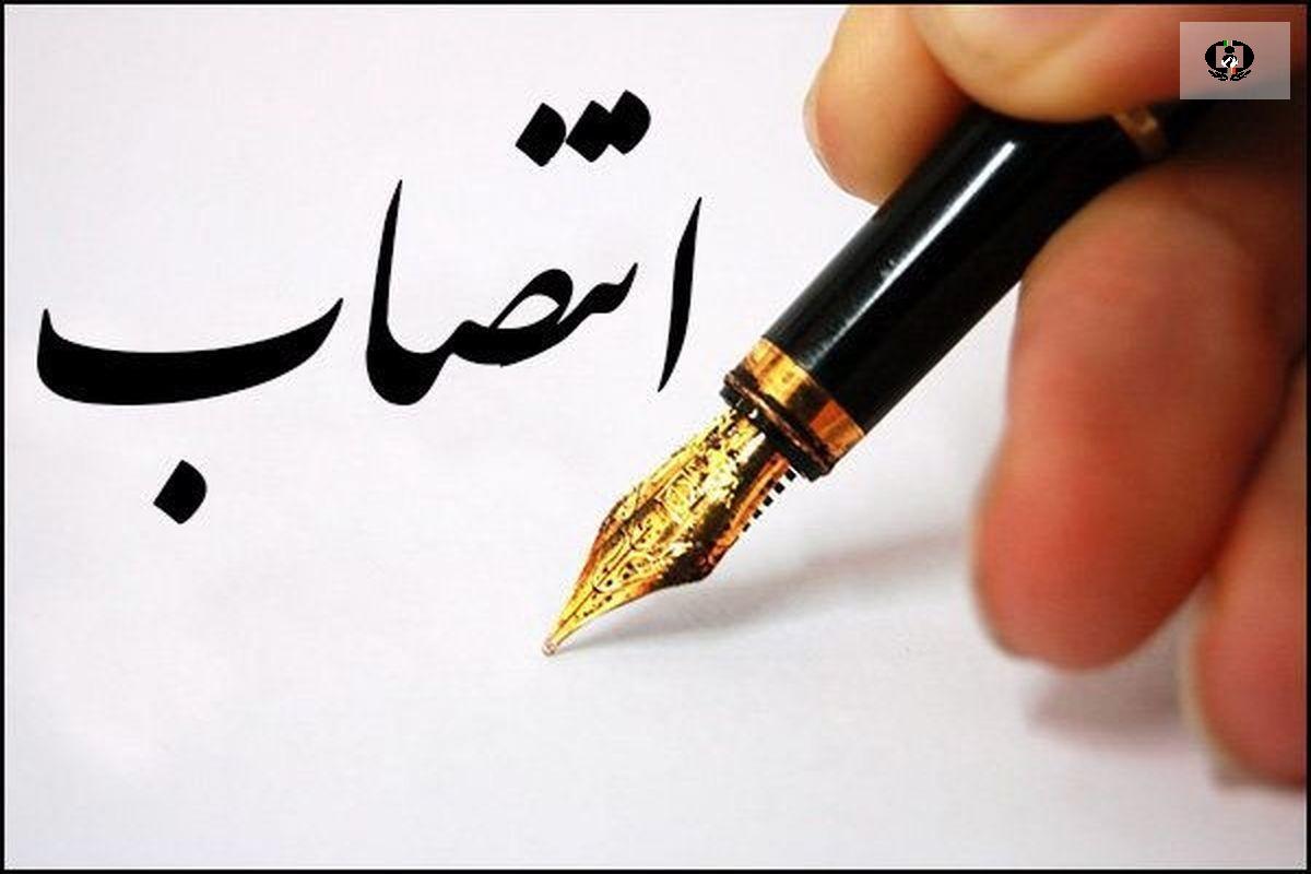 دبیر شورای هماهنگی مبارزه با موادمخدر تهران بزرگ منصوب شد