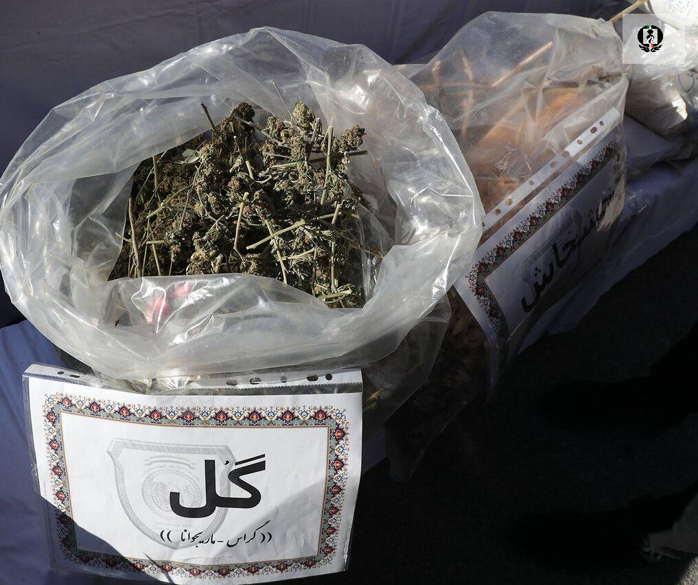 کشف ۷ کیلوگرم &laquo;گُل&raquo; و دستگیری ۲ قاچاقچی موادمخدر در قم